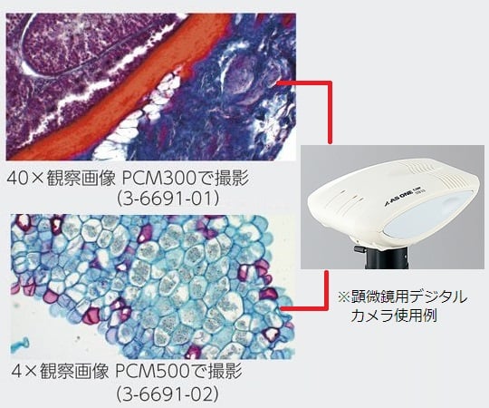 3-6691-01-62 顕微鏡用高速通信デジタルカメラ レンタル15日 PCM300