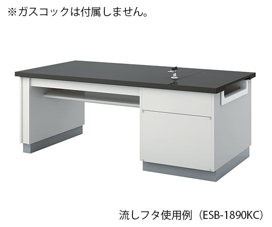 【大型商品※送料別途】アズワン3-7663-03　生徒用実験台 1800×900×800 mm　ESB-1890KC