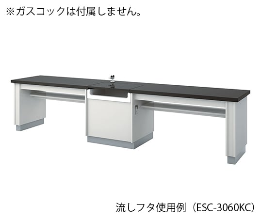 【大型商品※送料別途】アズワン3-7665-02　生徒用実験台 3000×600×760 mm　ESC-3060KCM