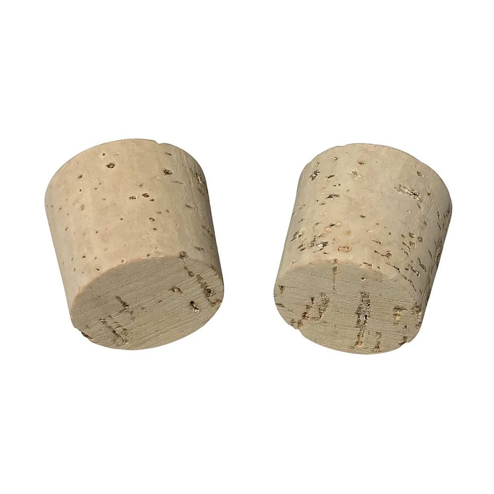 P. ape コルク付け 板付け用コルク / ビカクシダ / エアプランツ / 長辺約21cm