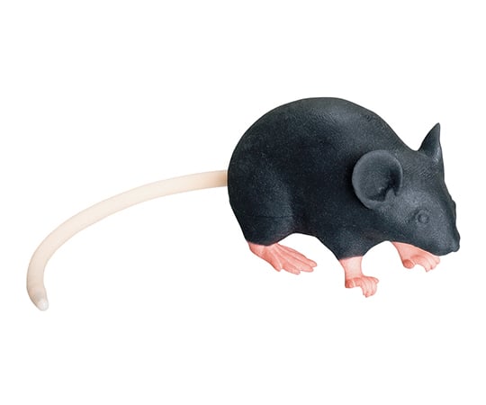 マウス型実習用動物シミュレータ Mimicky（R） rrrmm01