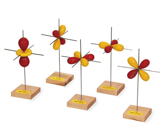 3BScienitific3-9227-06電子軌道模型d軌道模型5個セット【1セット(5個入)】(as1-3-9227-06)