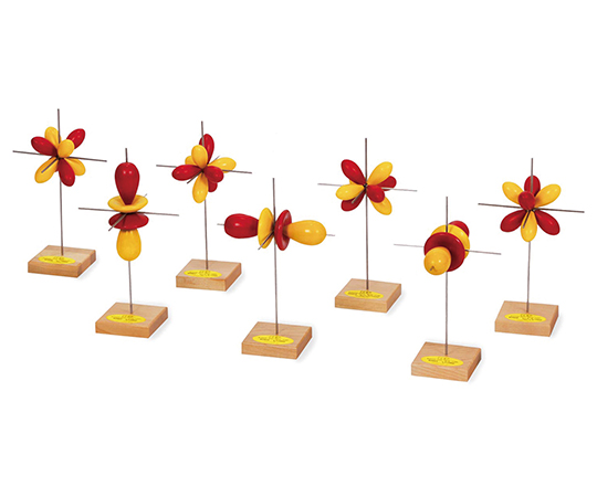 3BScienitific3-9227-07電子軌道模型f軌道模型7個セット【1セット(7個入)】(as1-3-9227-07)