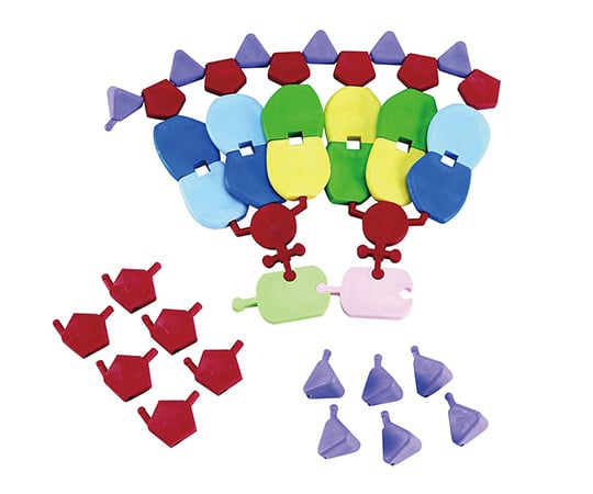 3BScienitific3-9228-01ＲＮＡ模型・１２塩基ｍｉｎｉＤＮＡＴＭ【1セット】(as1-3-9228-01)