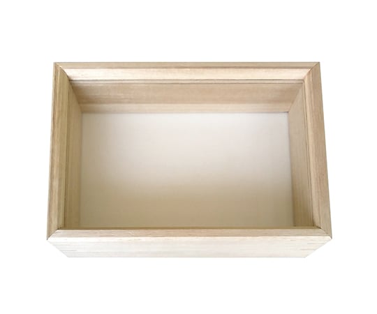 桐製ガラスフタ式標本箱 小型 215×155×60mm No.431