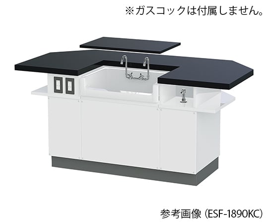 【大型商品※送料別途】アズワン4-1151-01　生徒用実験台（対面型） ESF-1890KCL