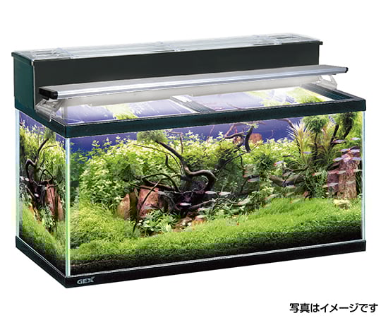 4 38 32 魚類用水槽 マリーナ ガラス 1cm Mr 19n Axel アズワン 4 38 32 魚類用水槽 マリーナ ガラス 1cm Mr 19n Axel アズワン