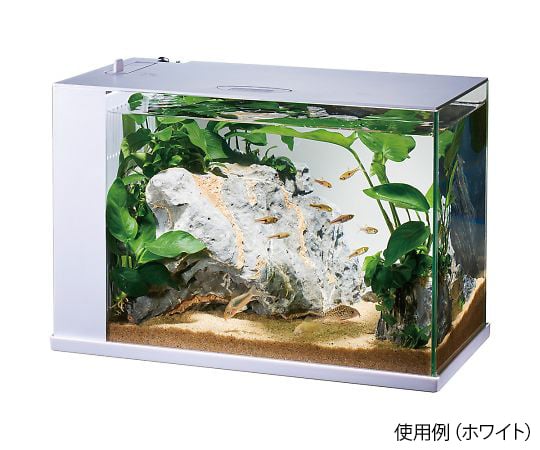 Led フィルター付オールインワン水槽セット ラクテリア ジェックス Axel アズワン Led フィルター付オールインワン水槽セット ラクテリア ジェックス Axel アズワン