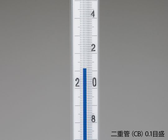 十年後S・スクアーロ CCG B12 サインなし JAPAN S GRADE SCHOOL | Kids | White/Classic Red | Kids
