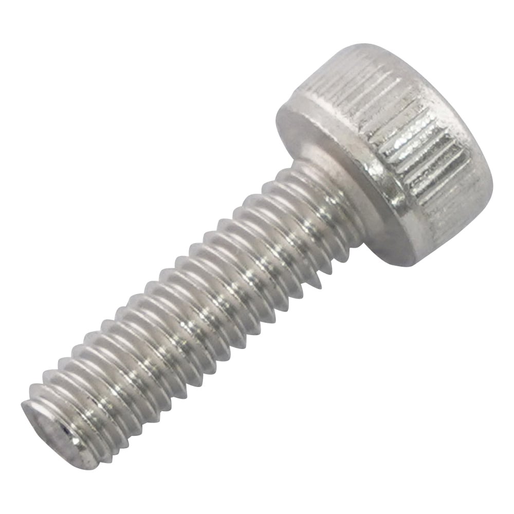 六角穴付きボルト　ステンレス　100本入