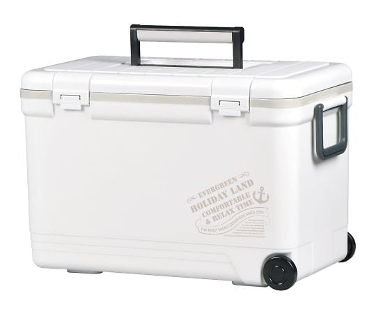 4-3050-06ラボクーラー３３Ｈ－Ｗ【1個】(as1-4-3050-06)