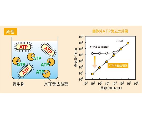 4-3140-17 ATP微生物検査キット ルシフェール ATP消去試薬セット 60254
