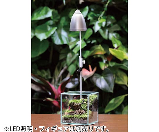 4-3485-01 コケリウム グラステリア フィット 10×10×10cm 100CUBE