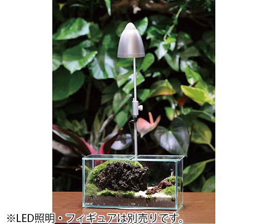 コケリウム　グラステリア　フィット　20×10×10cm