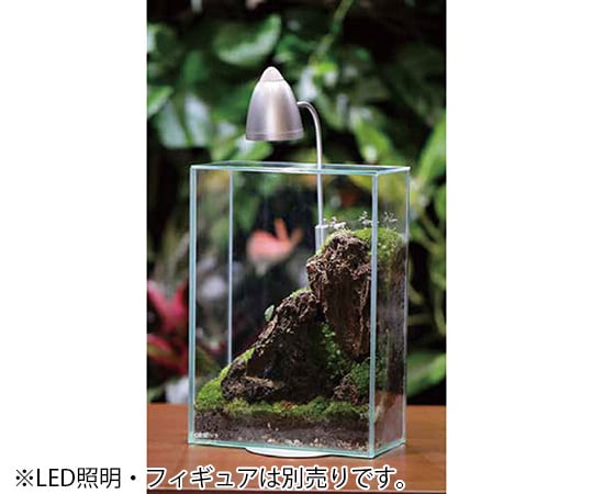 コケリウム　グラステリア　フィット　20×10×28cm