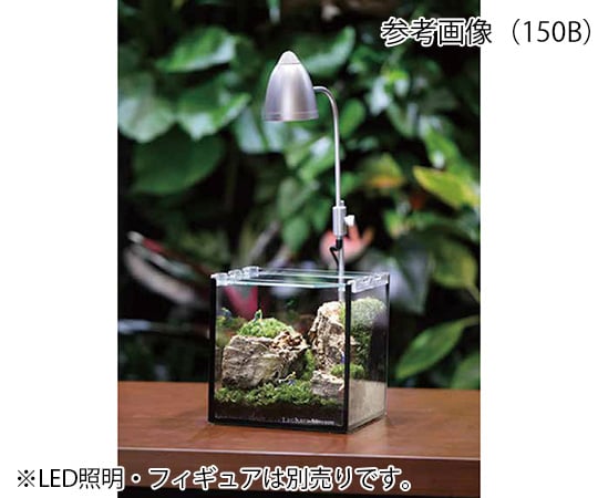 コケリウム　15×15×20cm