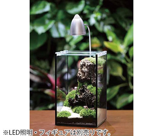 コケリウム　15×15×25cm