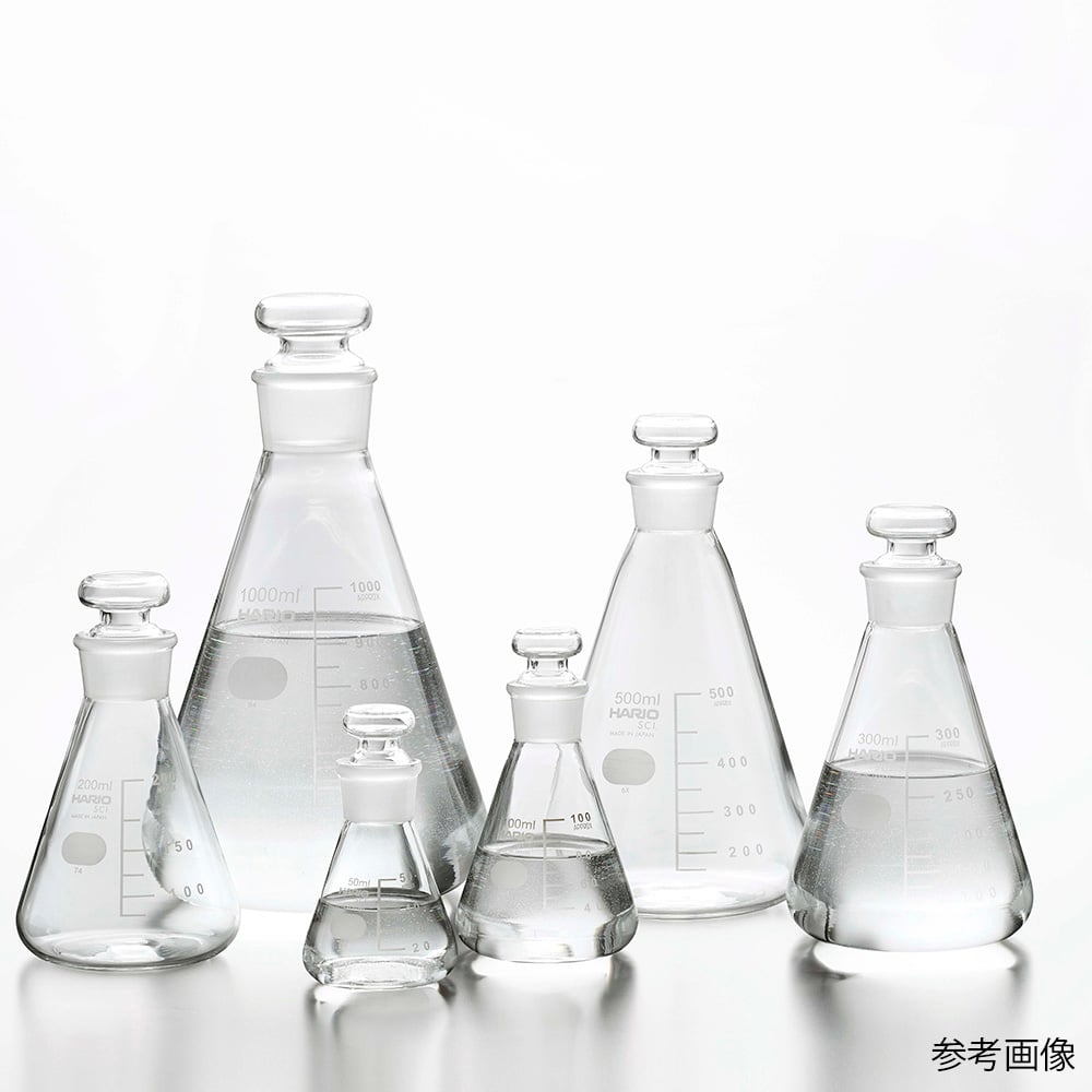 4-4573-06 共栓三角フラスコ 1,000mL（TS38） TSF-1L-SCI