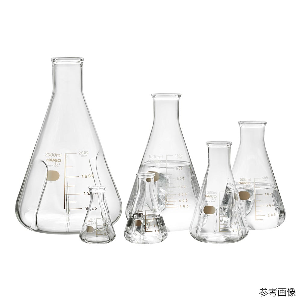 4-4574-02 バッフル付き三角フラスコ 100mL BSF-100-SCI