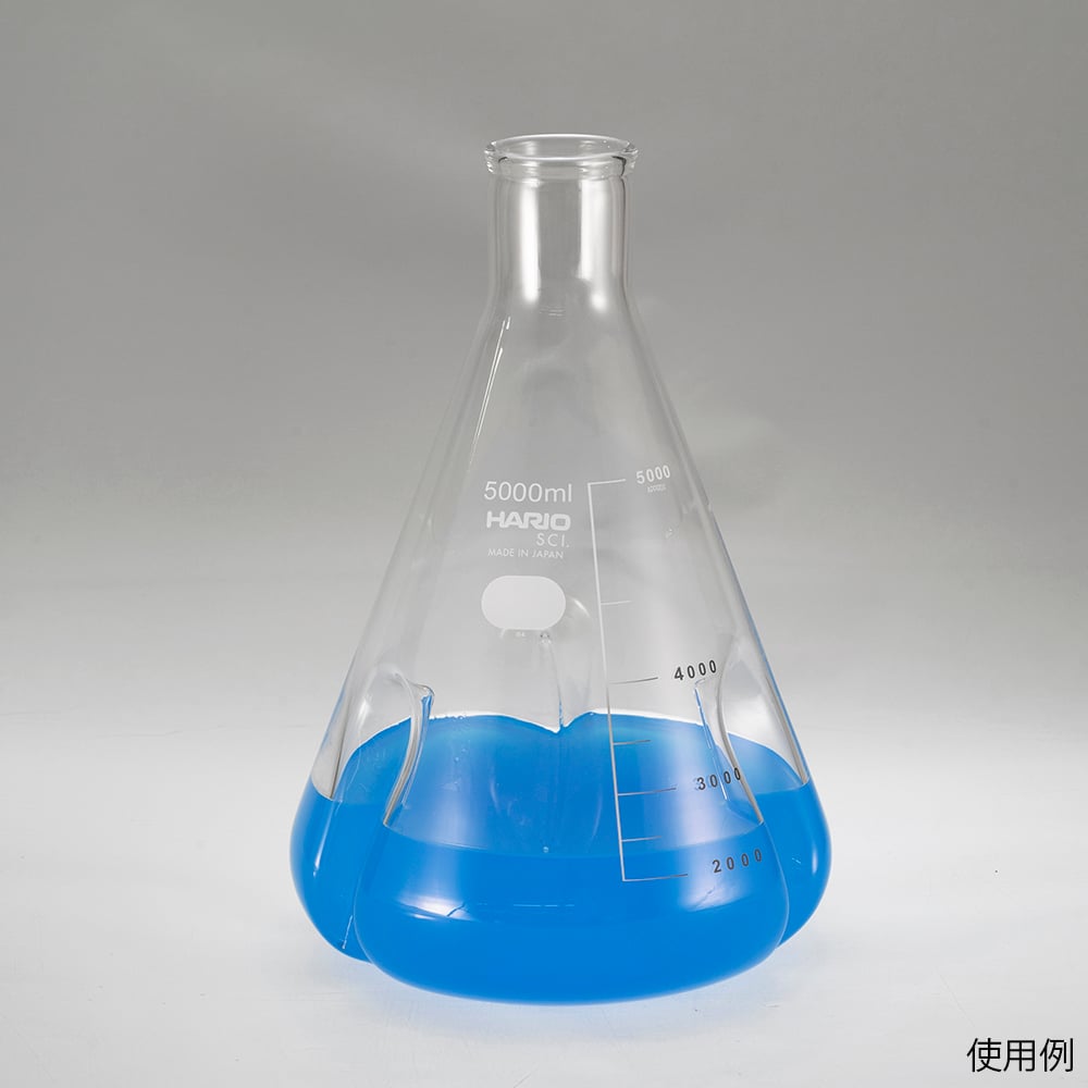 4-4574-02 バッフル付き三角フラスコ 100mL BSF-100-SCI