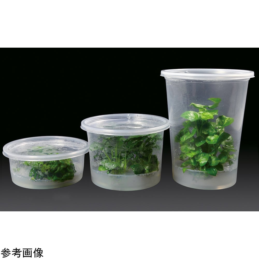 4-4847-01 植物培養容器（PhytoCon）樹脂容器 237mL+ベントなしフタ 10個入 C209-10EA