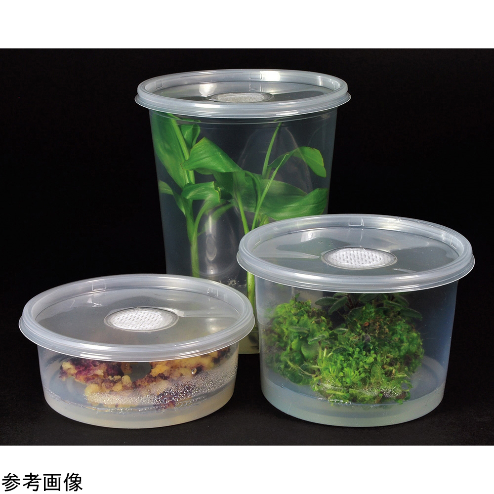 植物培養容器 C209-250EA 250個入 (1箱(250個入り)) 目安在庫=△-