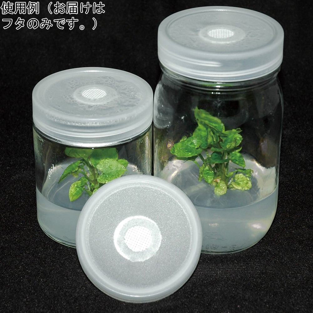 植物培養容器 ベント付きフタ 10個入　C170-10EA