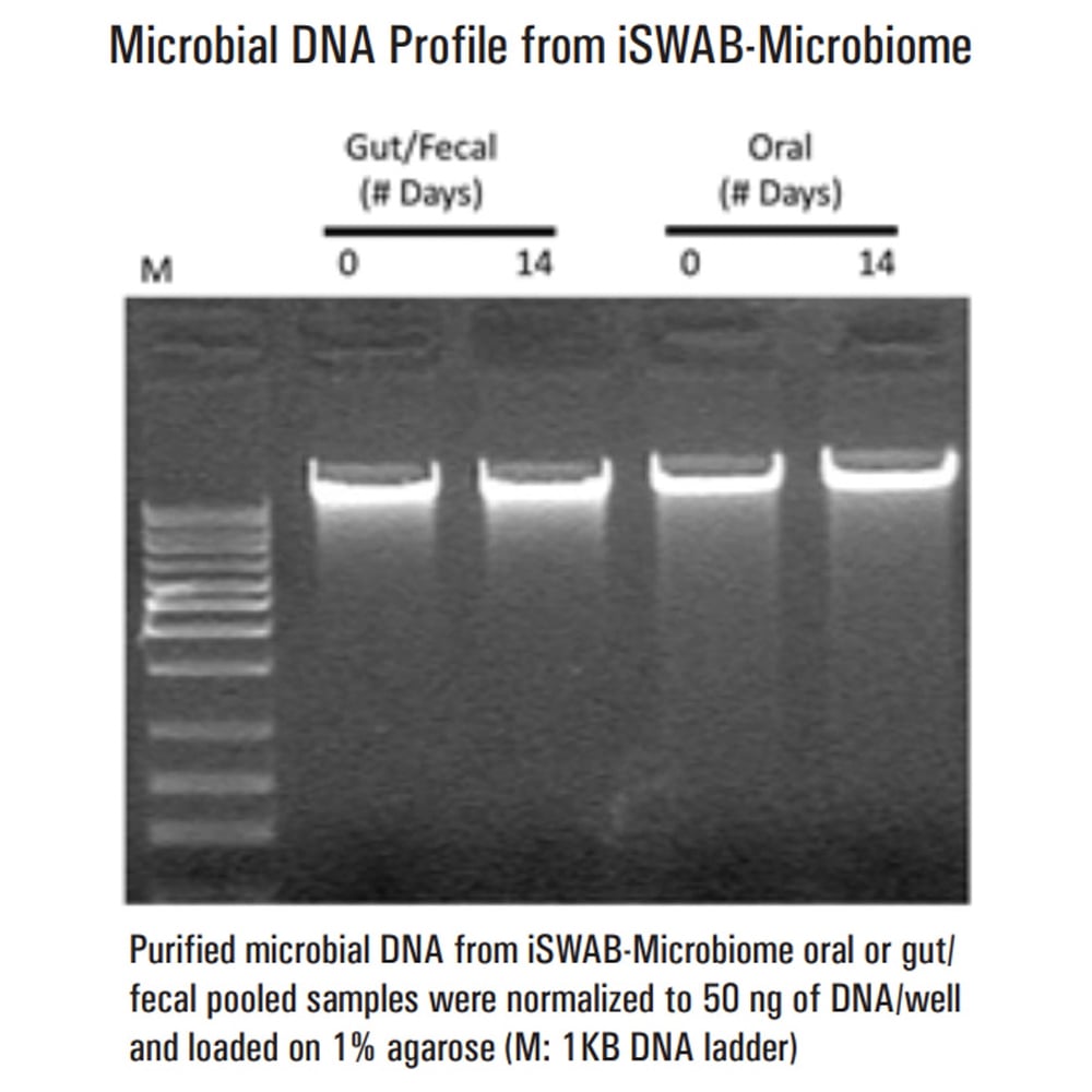 4-4851-03 DNA検体保管チューブ（iSWAB）1000uL 50本入 ISD-T-1200-R