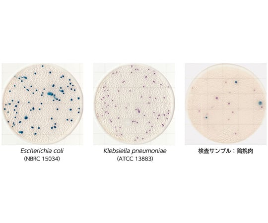 4-5420-03 EasyPlate 大腸菌・大腸菌群数測定用（25枚/袋×4袋入）EC 61975