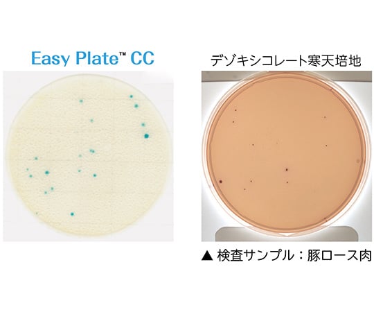 4-5420-52 EasyPlate 大腸菌群数測定用（25枚/袋×4袋/箱×10箱入）CC 61974