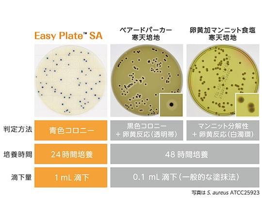 4-5420-54 EasyPlate 黄色ブドウ球菌数測定用（500枚入）SA 61976