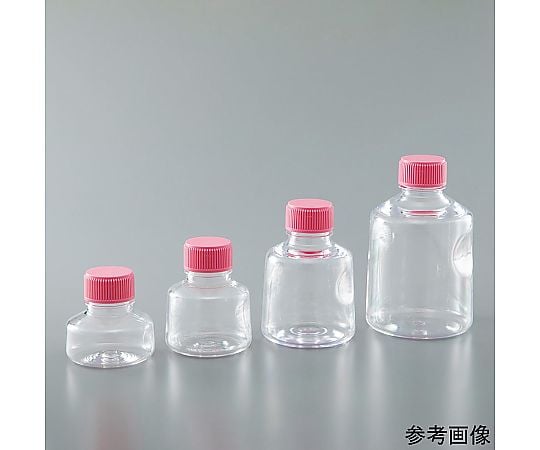 即発送！　4枚　モルトVERSUS ◇笑四季 Savour the flavor (セイヴァ・ザ・フレイヴァ) | 日本酒専門