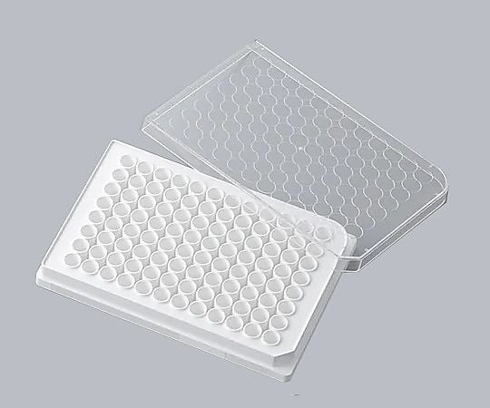 専用　プロモ6枚 HEIKO 箱 ナチュラルボックス ECO・Z-6 10枚/袋 006204060 包装用品