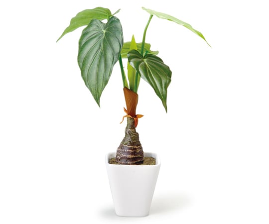 人工観葉植物・フェイクグリーンの通販 【AXEL】 アズワン
