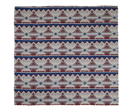 ラグ レジャー 180×200cm CSネイティブ ラグ1820 キャプテンスタッグ