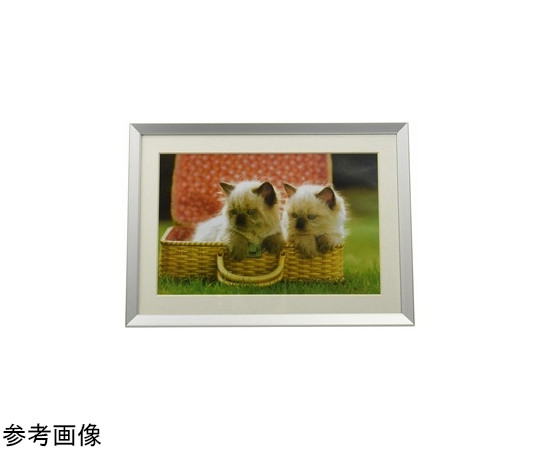 54-1239-52 アルミ額縁 A10N ワイド6切 シルバー 【AXEL】 アズワン