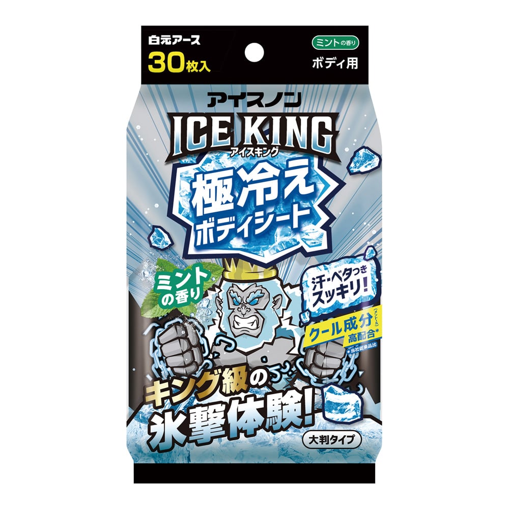 54-2254-43 アイスノン ICE KING 極冷えボディシート ミントの香り 30