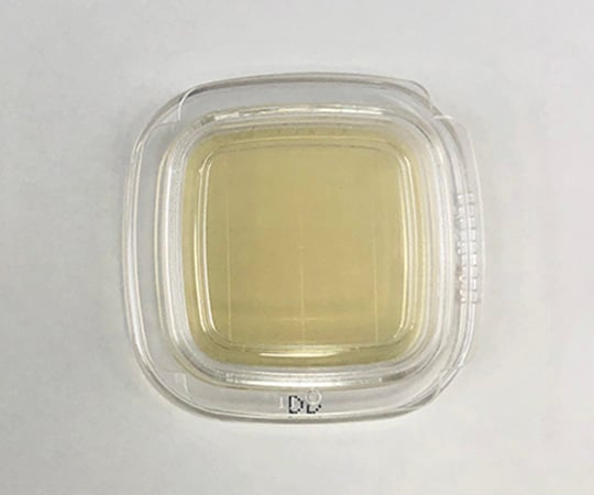【滅菌】【冷蔵】極東製薬工業6-8778-01細菌検出用培地ＤＤチェッカー（ＤＤ寒天）【1箱(20枚×2箱入)】(as1-6-8778-01)