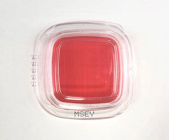 【滅菌】【冷蔵】極東製薬工業6-8778-05細菌検出用培地ＤＤチェッカー（ＭＳＥＹ寒天）【1箱(20枚×2箱入)】(as1-6-8778-05)