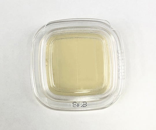 【滅菌】【冷蔵】極東製薬工業6-8778-07細菌検出用培地ＤＤチェッカー（サブロー寒天）【1箱(20枚×2箱入)】(as1-6-8778-07)