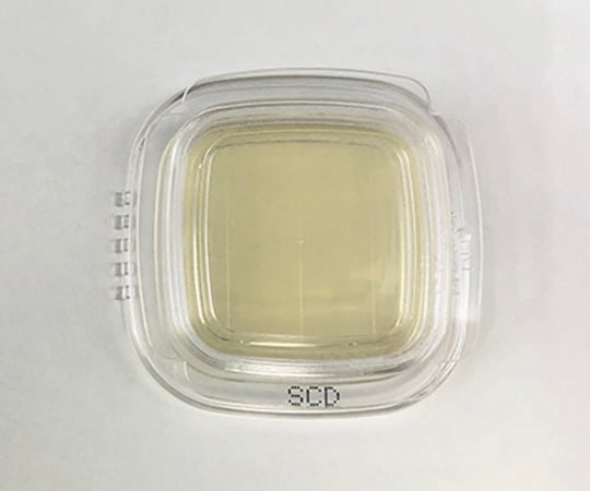 【滅菌】【冷蔵】極東製薬工業6-8778-17細菌検出用培地ＤＤチェッカー（ＳＣＤ寒天）【1箱(20枚×2箱入)】(as1-6-8778-17)