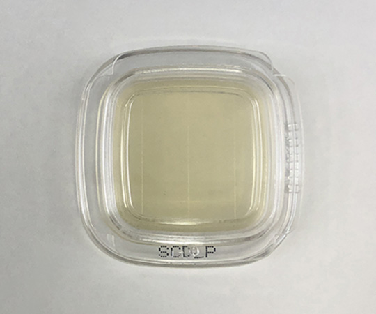 【滅菌】【冷蔵】極東製薬工業6-8778-19細菌検出用培地ＤＤチェッカー（ＳＣＤＬＰ寒天）【1箱(20枚×2箱入)】(as1-6-8778-19)