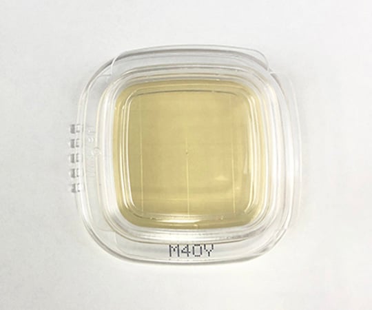 【滅菌】【冷蔵】極東製薬工業6-8778-30細菌検出用培地ＤＤチェッカー（Ｍ４０Ｙ寒天培地）【1ケース(20枚×2箱入)】(as1-6-8778-30)