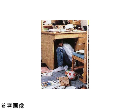震災そのときのために(1) 60-0874-63 DVD教材 地震！！あなたができること SSI013D 【AXEL