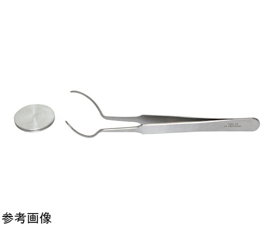 とんとん様。専用 Amazon | KYOUDEN 車 ホーン 12V レクサス 純正サウンド ホーン