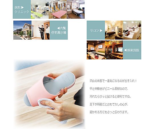 Spectrum Trail MW Crew Courtney Collection - 宗像山道具店 by