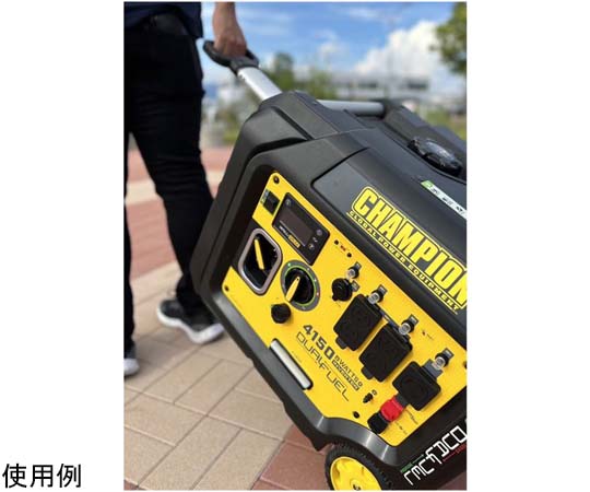 取扱を終了した商品です］チャンピオン・GGGガスガソリン発電機3800