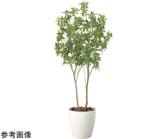 売れ筋新商品 フレッシュアセビ 60-2407-06 2507 アズワン 【AXEL】 A55 デュエルマスターズ