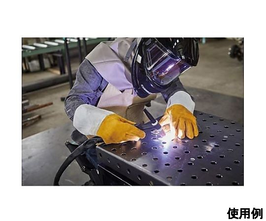 60-2819-89 単相100・200V パルスTIG溶接機（フルデジタル） EA315SK 