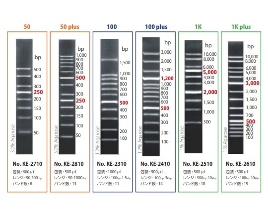 60-2977-35 XL-DNA Ladder 100（5本セット） KE-2310-5 【AXEL】 アズワン